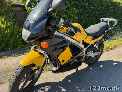 Suzuki GS 500 Suzuki GS 500