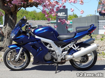 Suzuki SV 1000 S Suzuki SV 1000 S