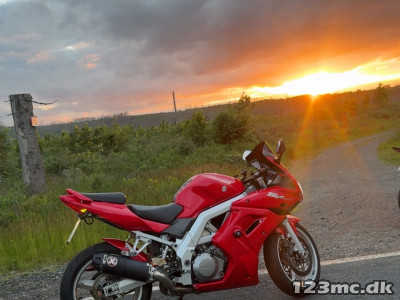 Suzuki SV 1000 S Suzuki SV 1000 S
