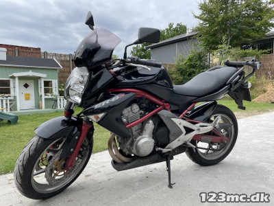 Kawasaki ER-6n Kawasaki ER-6n