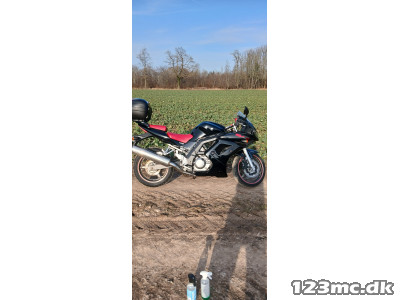 Suzuki SV 650 S Suzuki SV 650 S