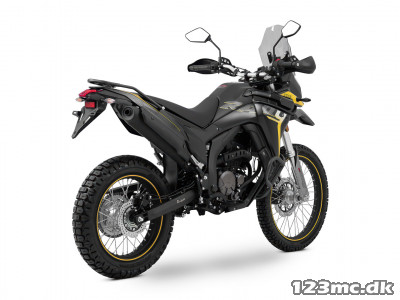 Voge DS 300 Rally Voge DS 300 Rally