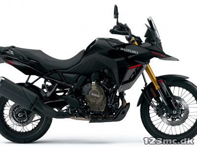 Suzuki DL 800 DE V-Strom Suzuki DL 800 DE V-Strom