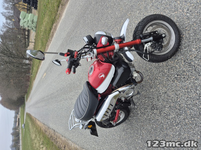 Honda Monkey 125 Honda Monkey 125