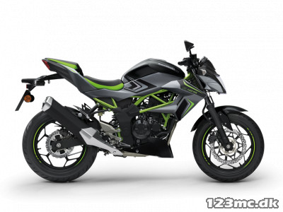 Kawasaki Z 125 Kawasaki Z 125