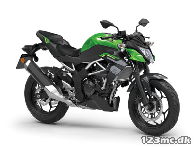 Kawasaki Z 125 Kawasaki Z 125
